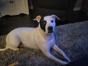 Photo of Oakley