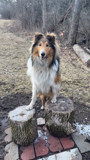 Photo of Mackey