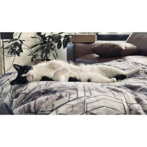 Photo of Lucy