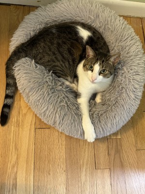 Photo of Klaus