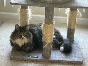 Photo of Annalisa (a.k.a. Lily)