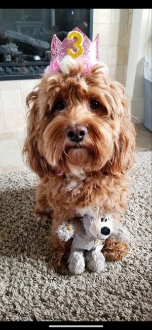 Photo of Molly