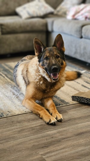 Photo of Sam