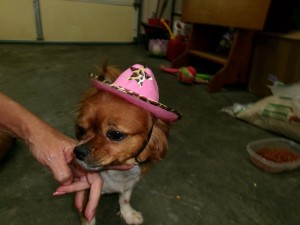 Photo of Colby
