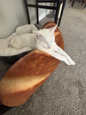 Photo of Angel
