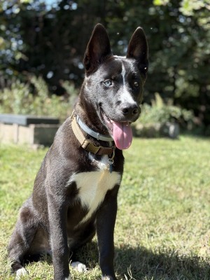 Photo of Timber