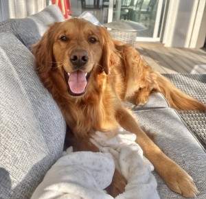 Photo of Bo
