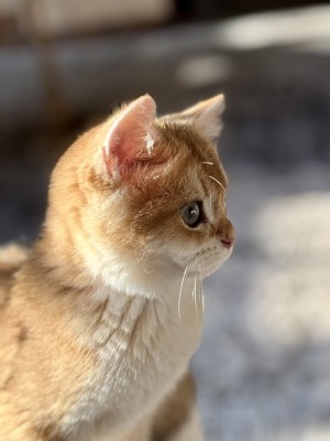 Photo of Baylore