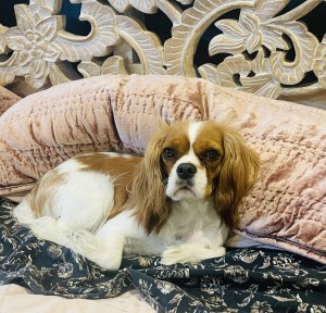 Photo of Emma