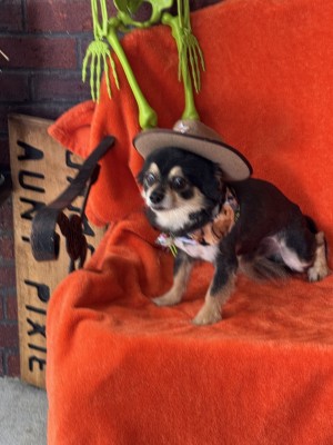 Photo of Charlie