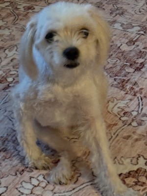 Photo of Fern NALA