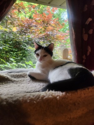 Photo of Samantha