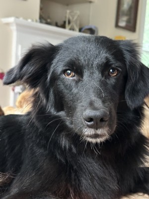 Photo of Grace