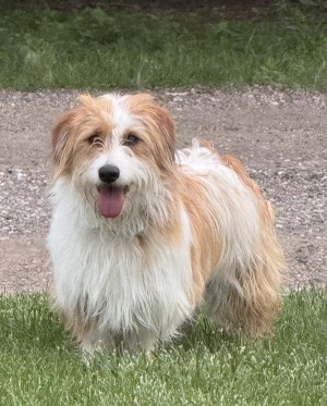 Photo of Bonnie