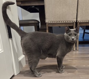 Photo of Theo