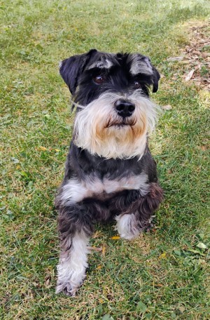 Photo of Reggie