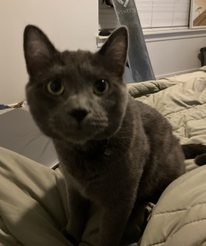 Photo of Seoul - NO FEE