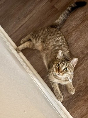 Photo of Michi