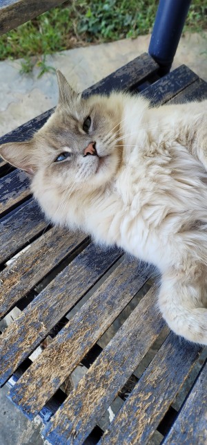 Photo of Will