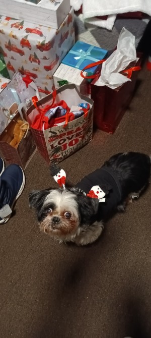 Photo of Arebee & Shadow