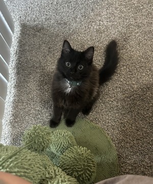 Photo of Spork