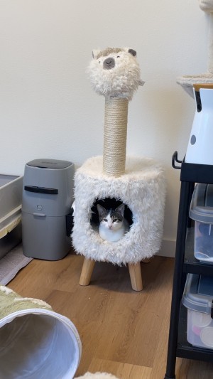 Photo of Gus