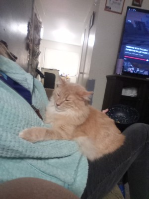 Photo of "senior" Peach (not Actually Old)