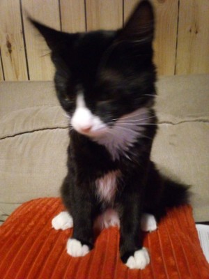 Photo of Popo