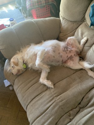 Photo of Mazy