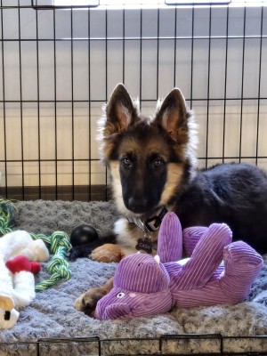 Photo of Cash
