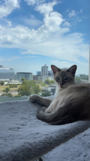 Photo of Tom & Jerry