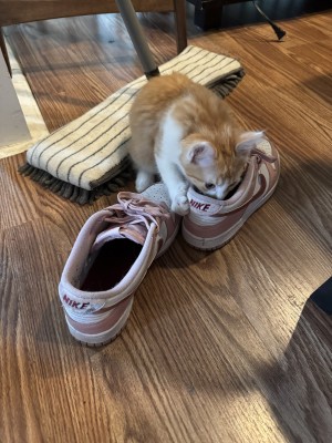 Photo of Ginny And Sparks