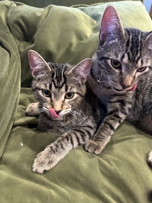 Photo of Willy & Waylon