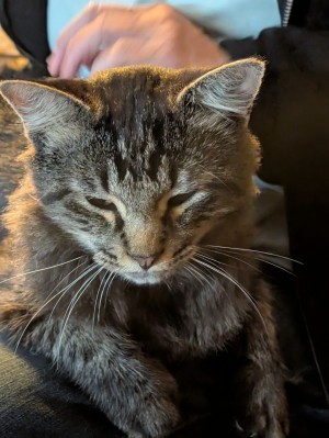 Photo of Ricky Aka Lucy