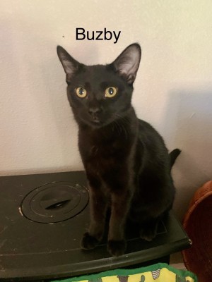Photo of Buzby