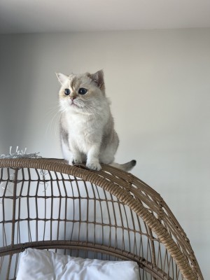 Photo of Zhan Zhan