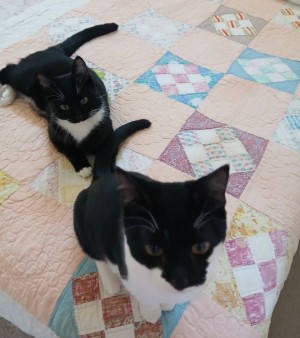 Photo of Emmy & Otis