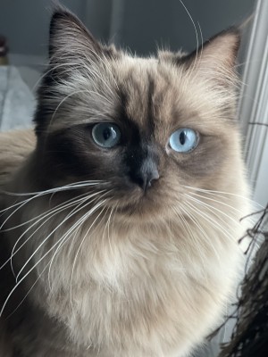 Photo of Chloe Honey