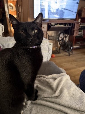 Photo of Black Betty