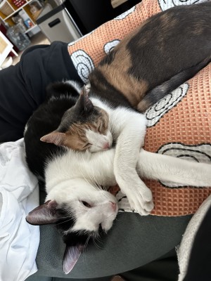 Photo of Ginger + George