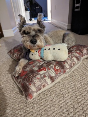 Photo of Killian
