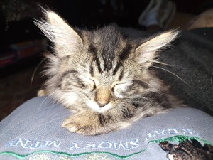 Photo of CHOMPO AND BERIS