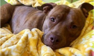 Photo of Calvin Klein