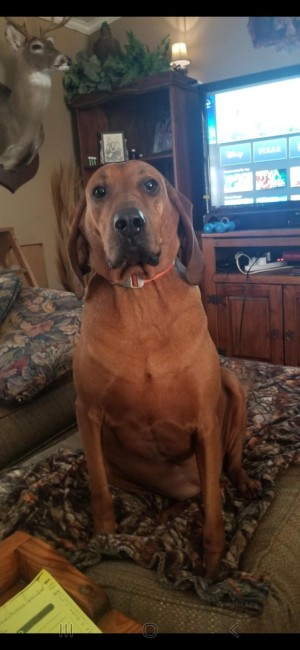 Photo of Ruby Red