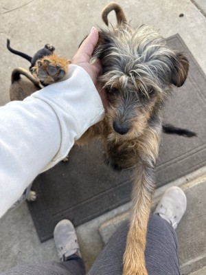 Photo of Canela