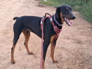 Photo of Stewart James