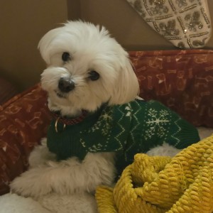 Photo of Harold