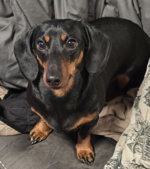 Photo of Bean And Tater-Tot