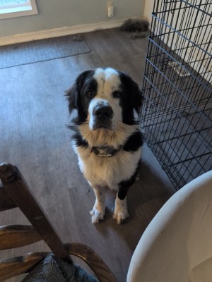 Photo of Smokey The Bear