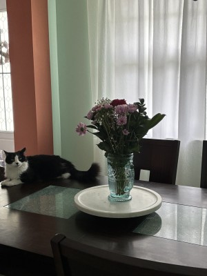 Photo of Berlioz